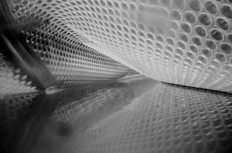 This is my favorite photo shot on the camera.
